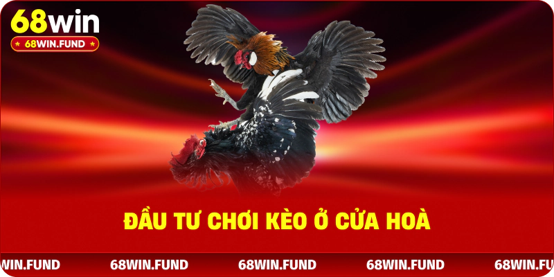 Đầu tư chơi kèo ở cửa hoà