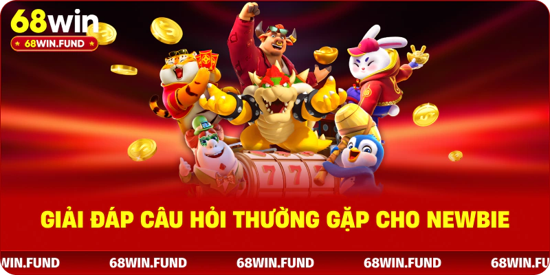 Giải đáp câu hỏi thường gặp cho newbie